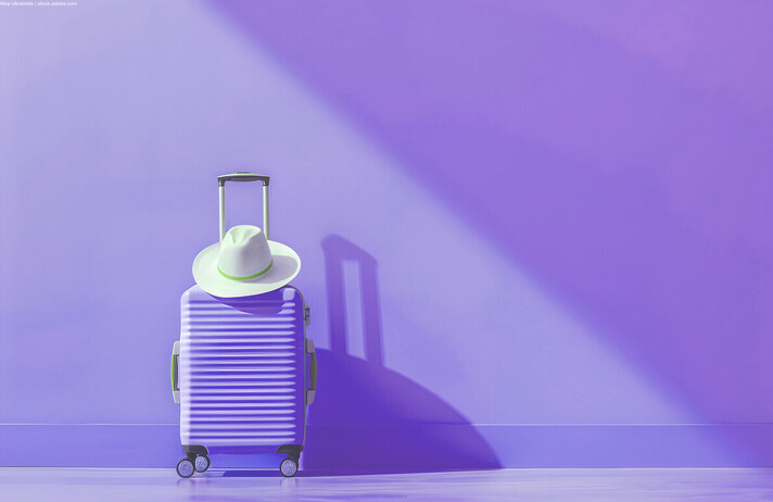 VOYAGE SURPRISE